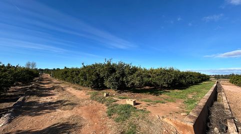 Foto 3 de Terreno en venta en La Conarda - Montesano, Bétera