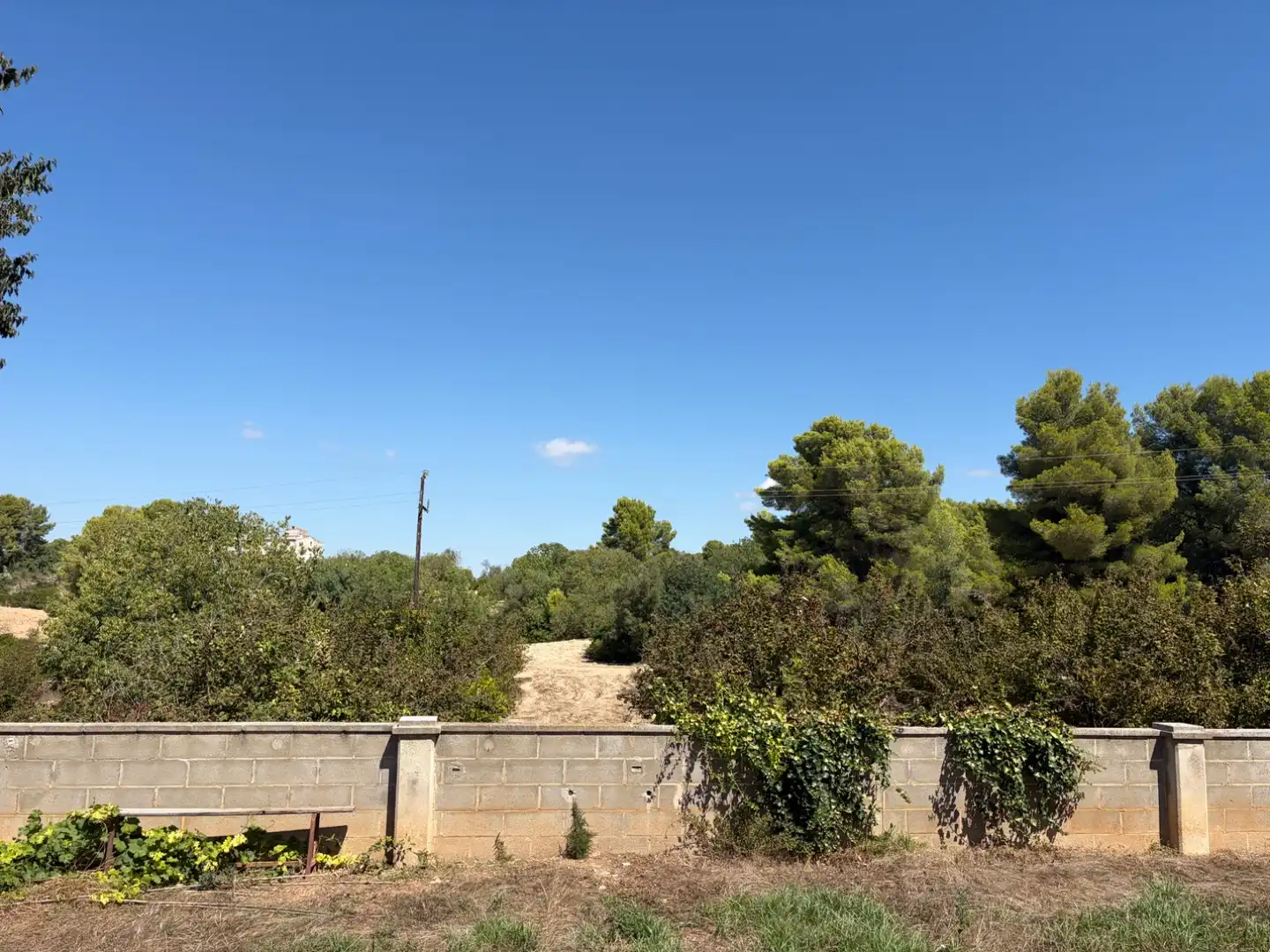 Terreni e lotti in vendita a Carretera Santes Creus 15, imagen 4