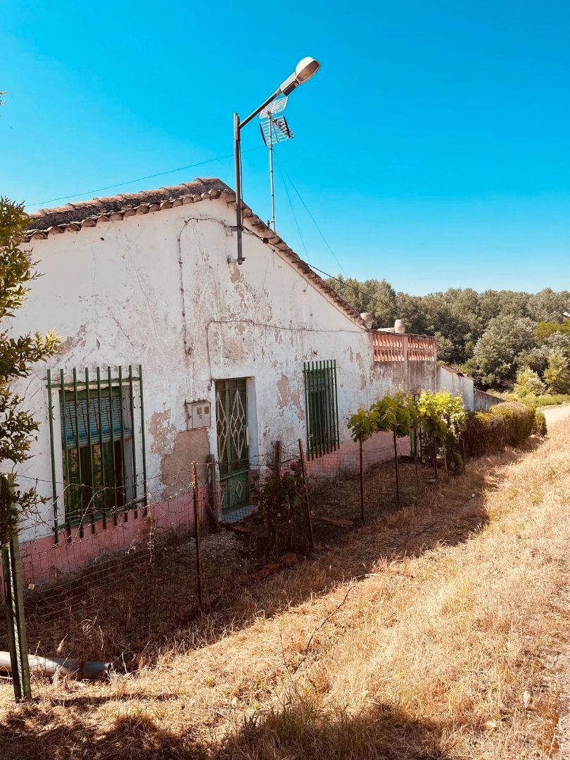 Exterior view of House or chalet for sale in Cañizal  with Private garden