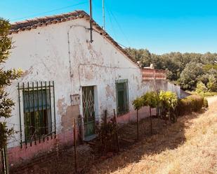 Vista exterior de Casa o xalet en venda en Cañizal amb Jardí privat