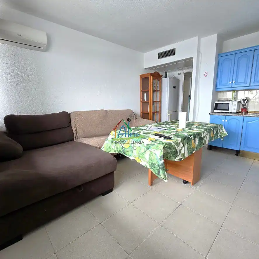 Sala d'estar de Estudi en venda en Almonte amb Aire condicionat, Calefacció i Terrassa