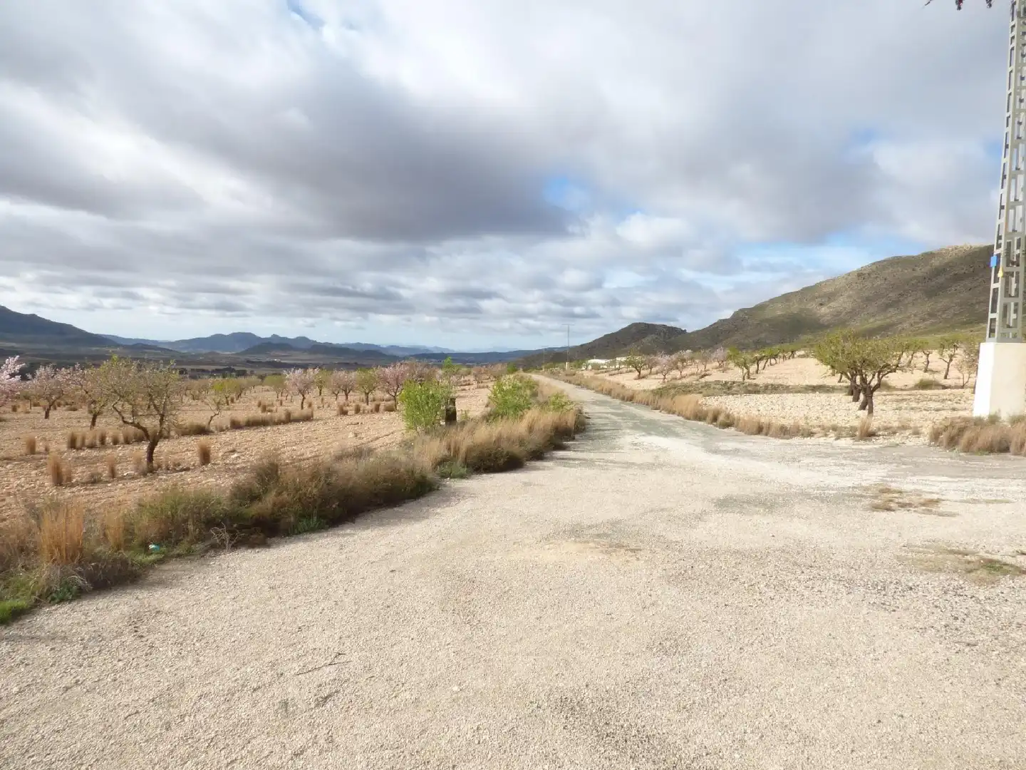 Rustikales Grundstück zum Verkauf in Jumilla, imagen 12