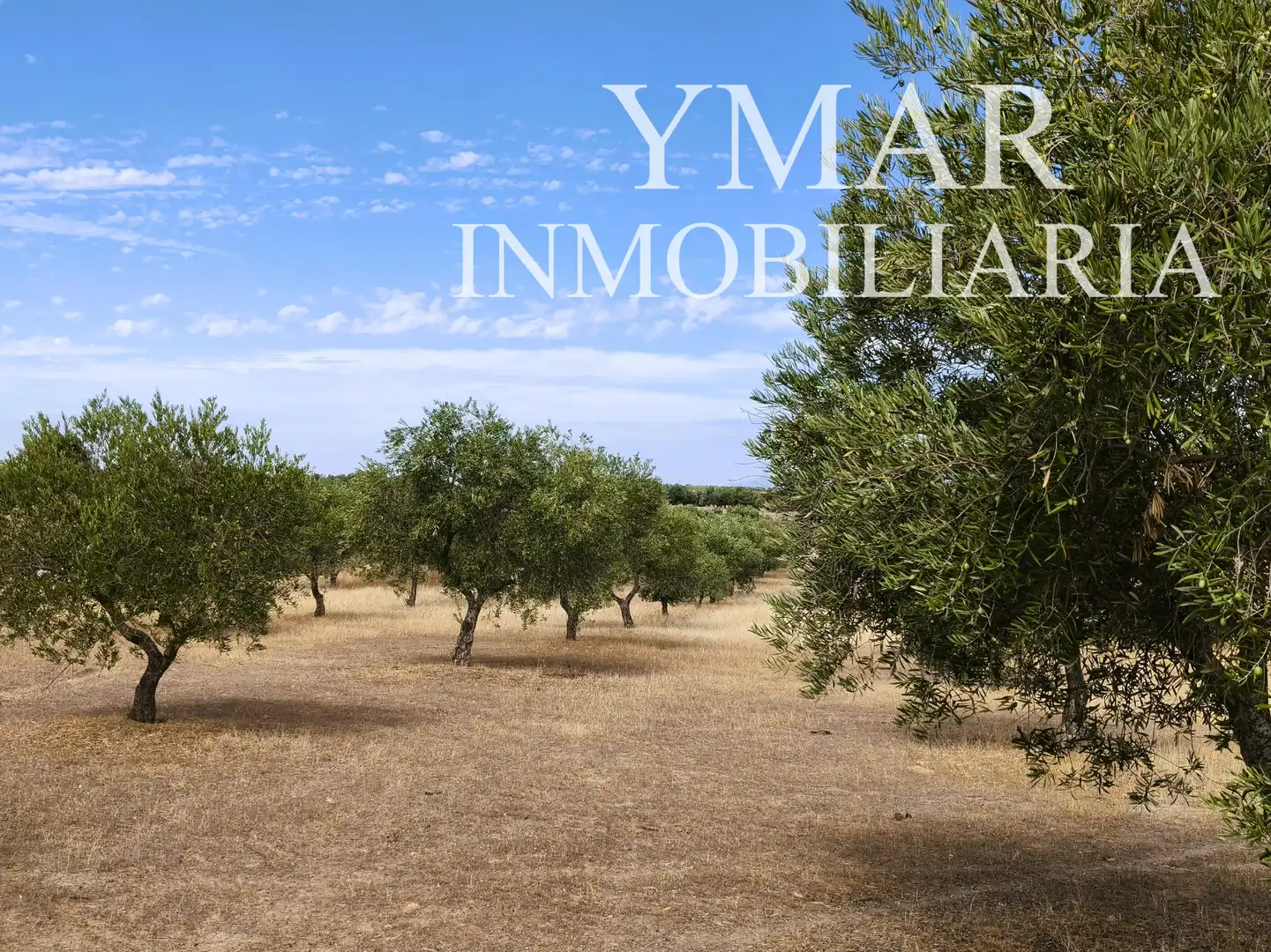 Land for sale in Santo Domingo-Caudilla