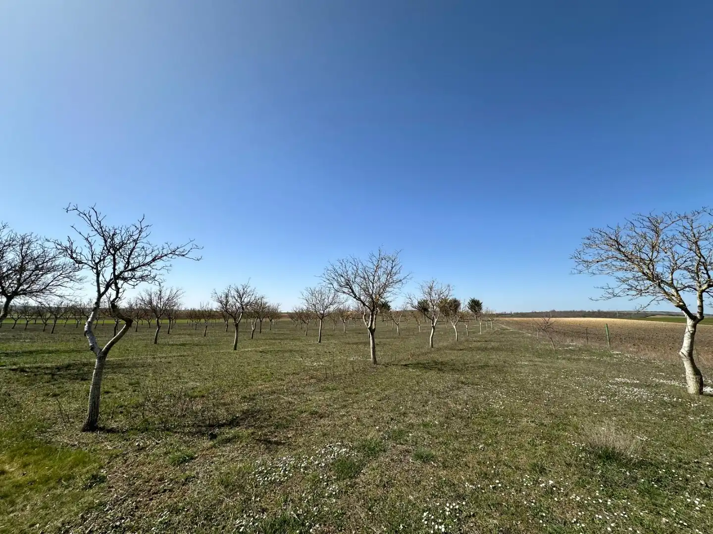 Houses for sale in Arlanzón  with Private garden