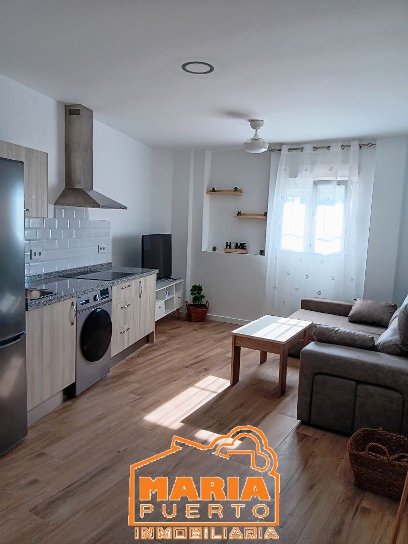 Sala de estar de Estudio de alquiler en Málaga Capital con Amueblado