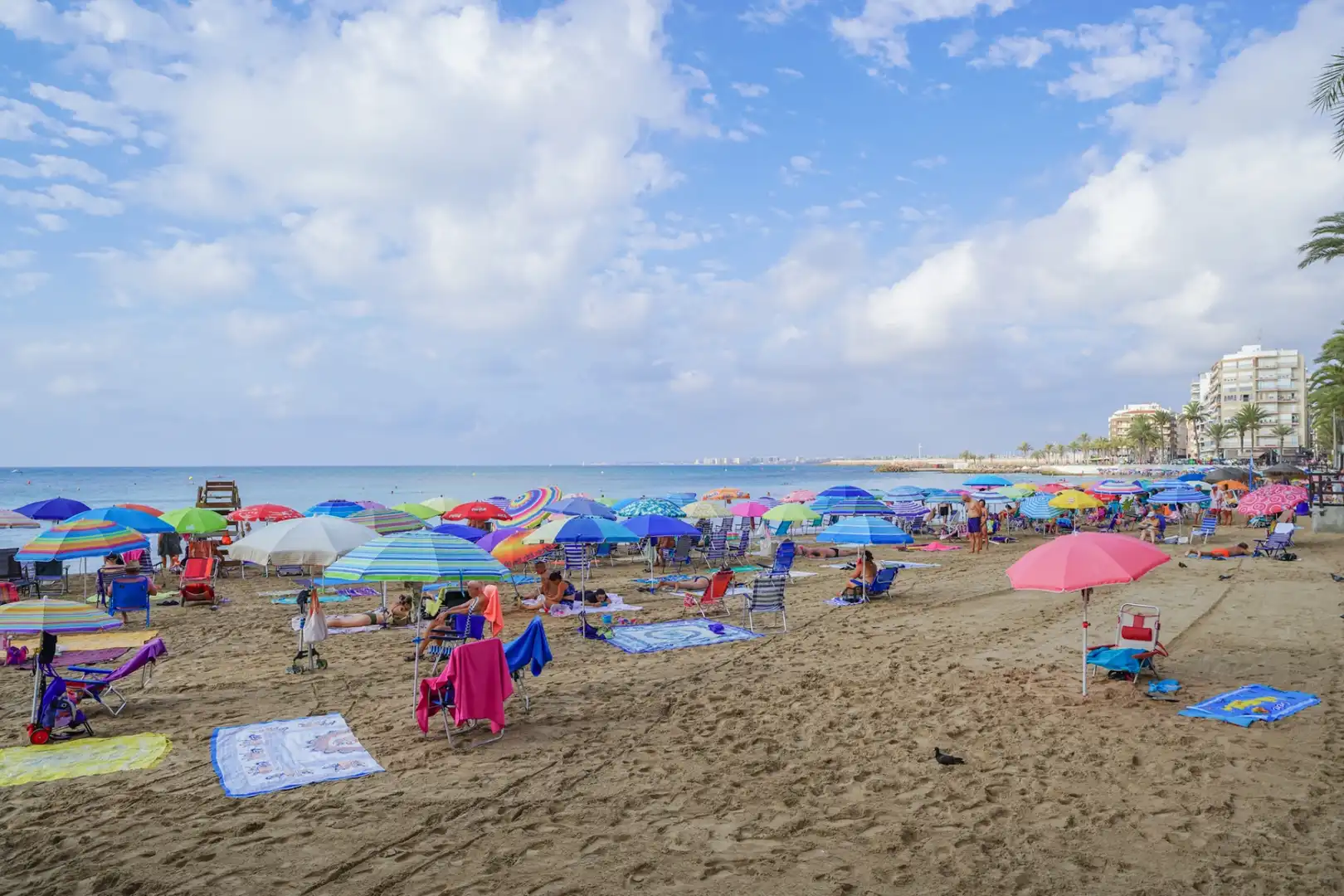 Wohnung mit Terrasse zum Verkauf in Playa de los Locos, imagen 47