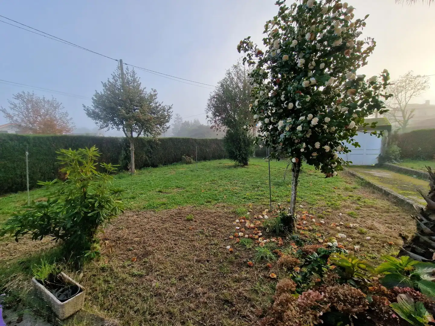 Villa con terrazza in vendita a Barbadás, imagen 3