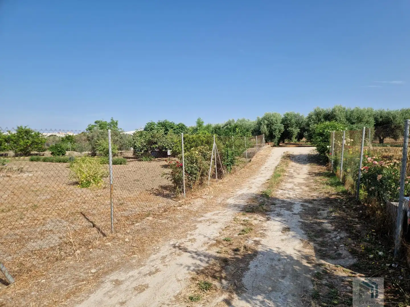 Terreni e lotti in vendita a Montilla, imagen 2