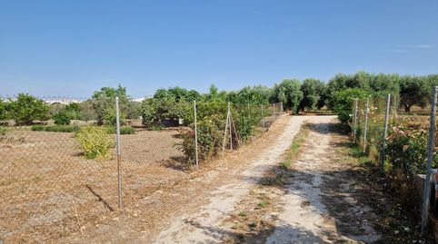 MontillaTerreno, immagine 2