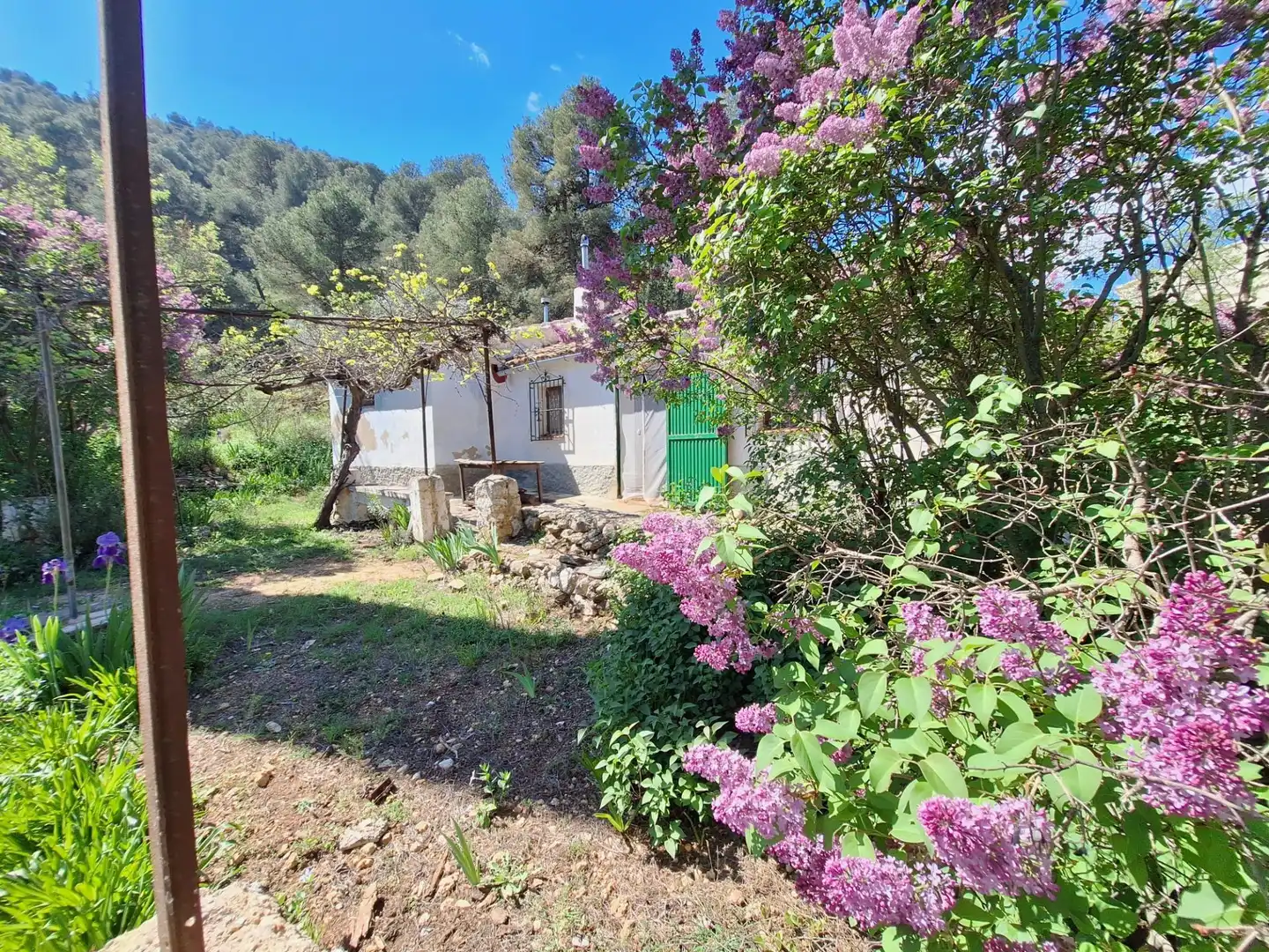 Jardí de Finca rústica en venda en Alcoy / Alcoi amb Traster i Moblat