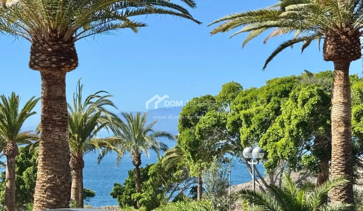 Vista exterior de Piso en venta en Adeje con Terraza, Piscina y Amueblado