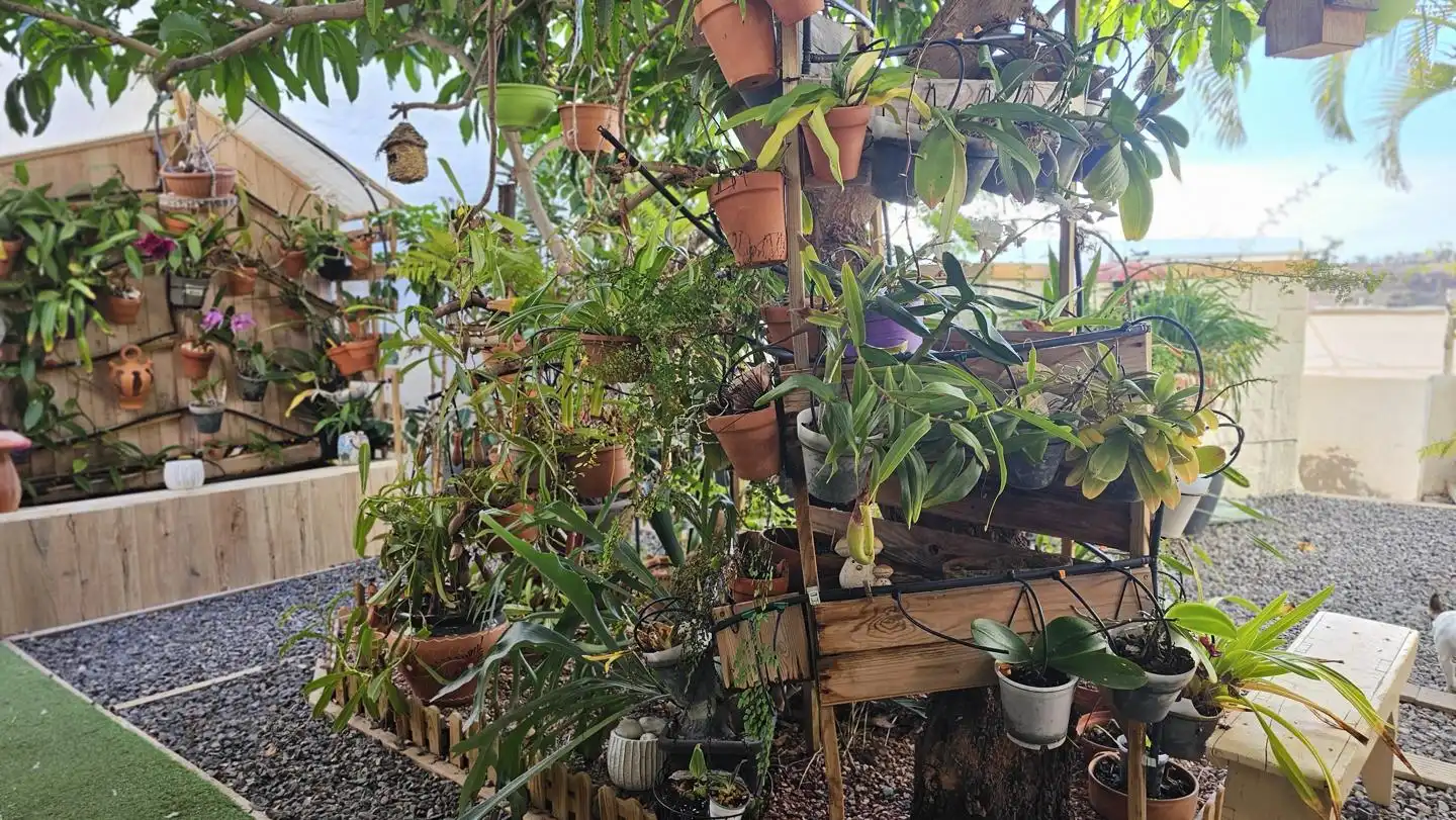 Jardí de Casa o xalet en venda en Santa Lucía de Tirajana amb Jardí privat, Terrassa i Piscina