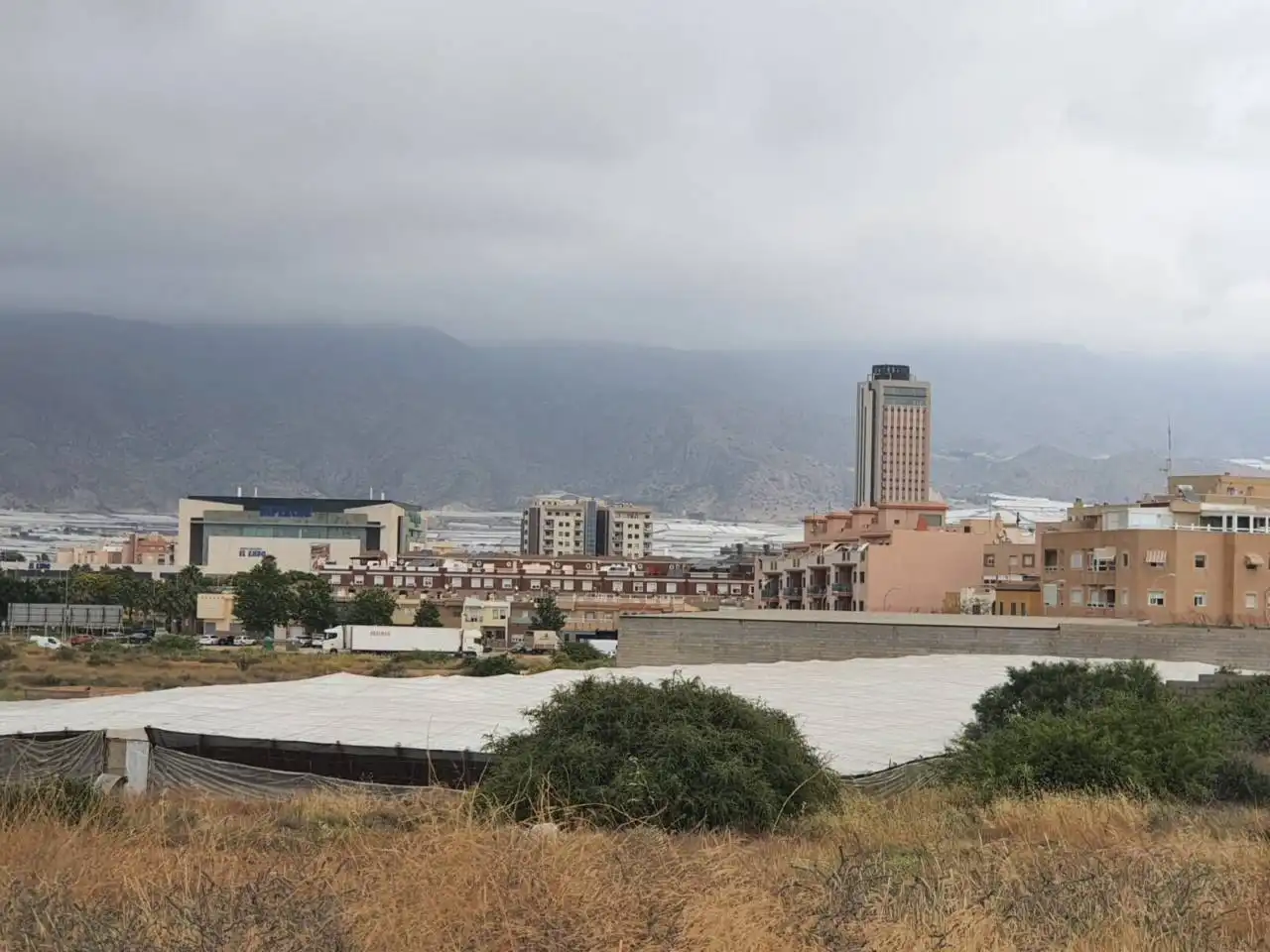 Vista exterior de Casa o chalet en venta en El Ejido con Jardín privado y Terraza