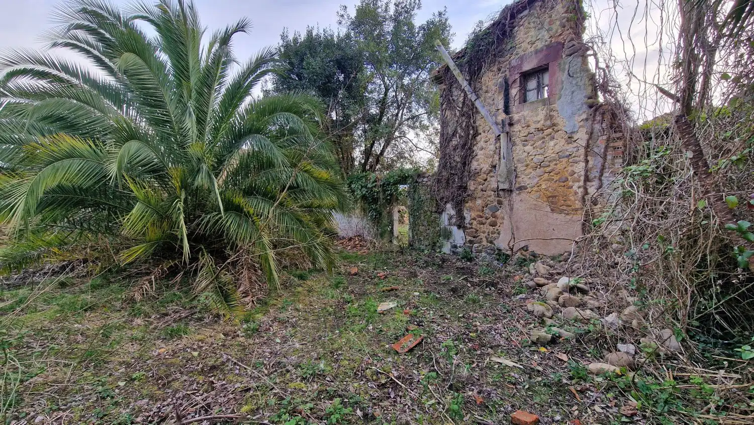 Terreni e lotti in vendita a Cerezo - Aspla - Torres, imagen 4