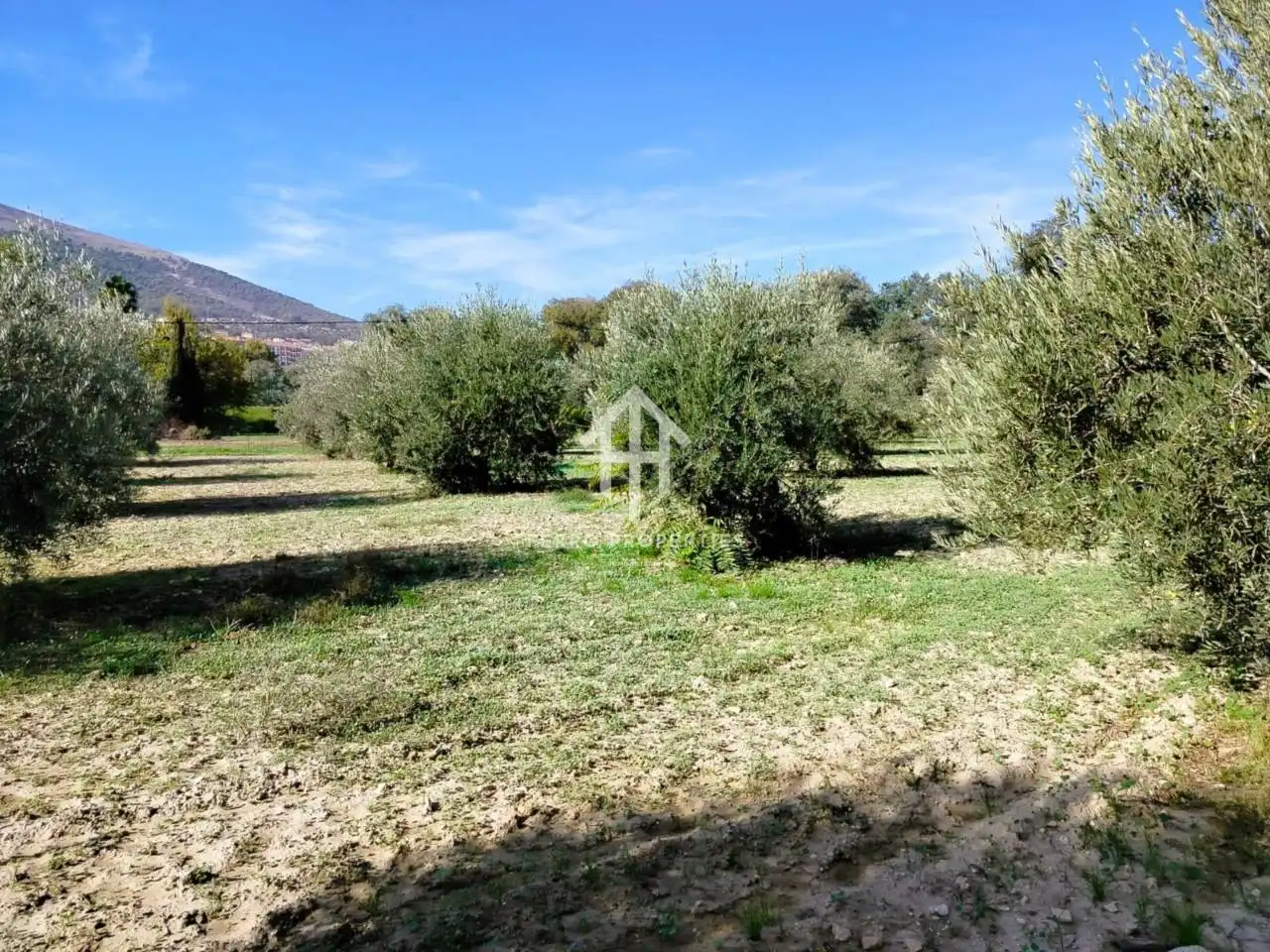 Terreni e lotti in vendita a Loja, imagen 16