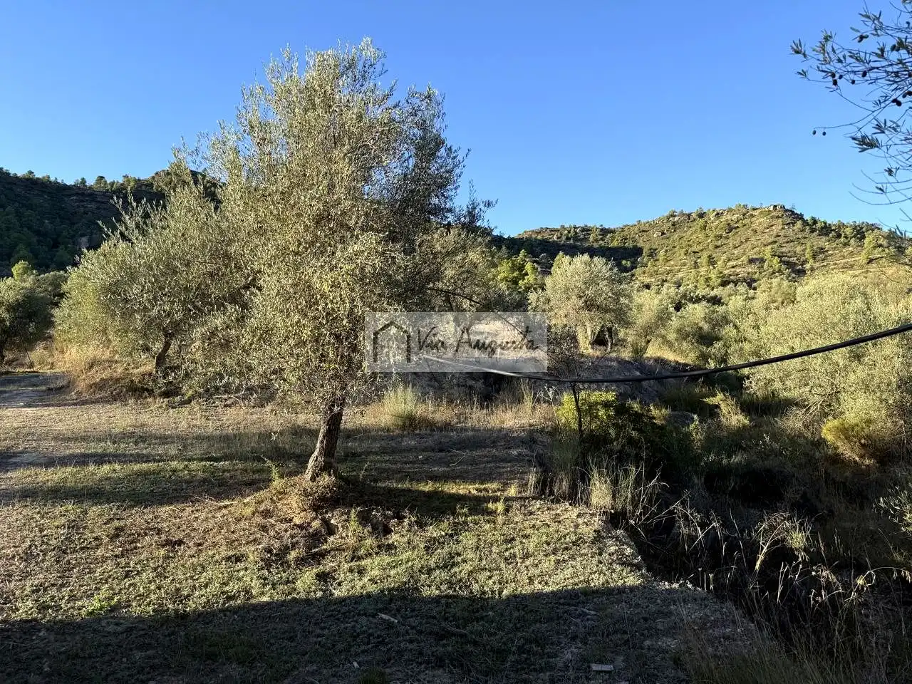 Terreno en venta en Vinebre