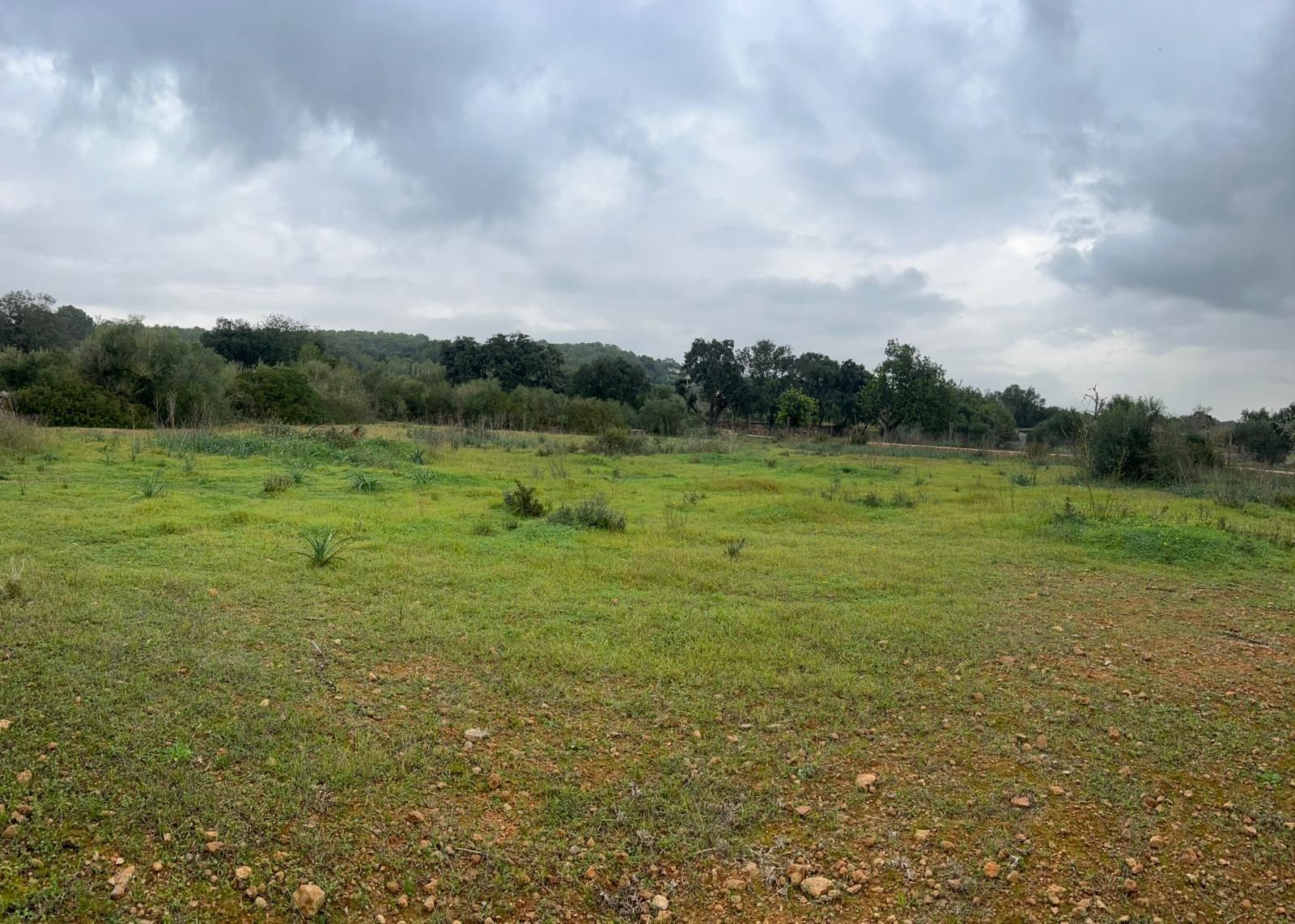 Finca rústica en venta en Santa Eugènia con Jardín privado y Terraza