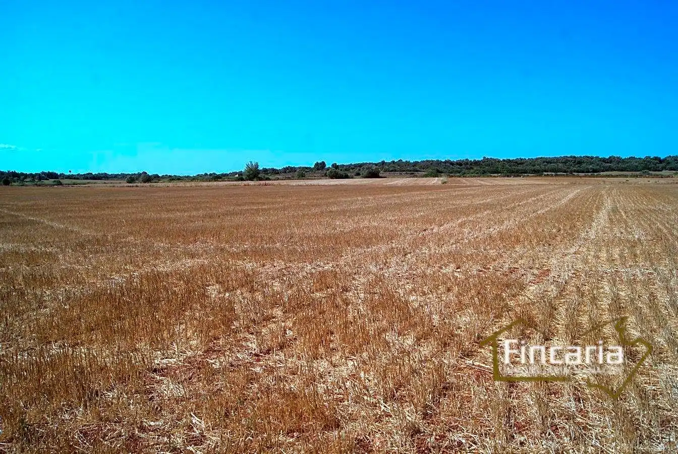 Residencial en venta en Vilafranca de Bonany