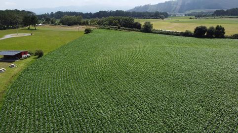 Foto 2 de Residencial en venta en Polígono 62 Paraje 122 Roza, 77, Navia, Asturias