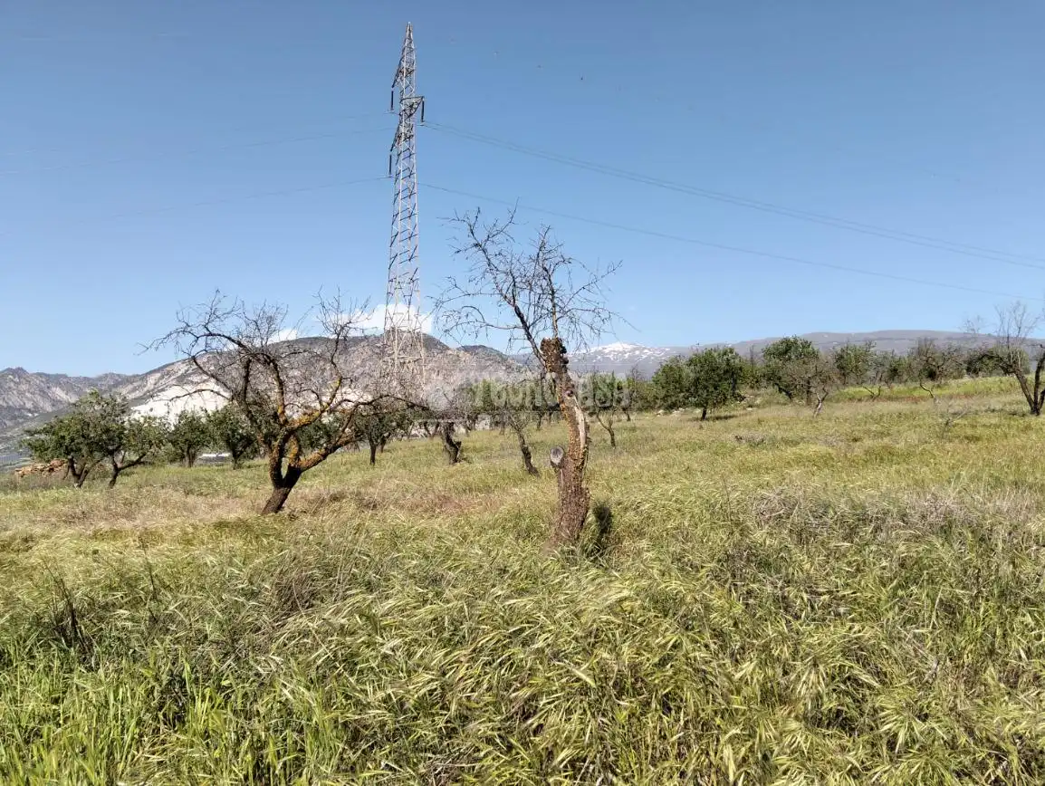 Rural land for sale in Dúrcal, imagen 18