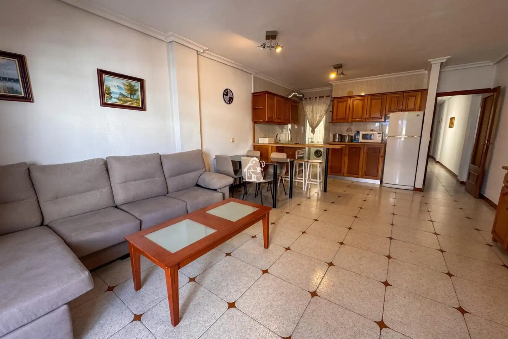 Apartments for rent in Zona Playa de los Locos