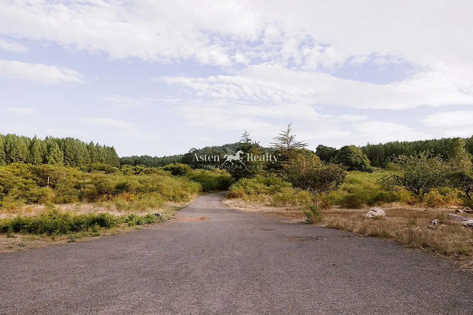 Terreno rústico en venta en La Matanza de Acentejo, imagen 3