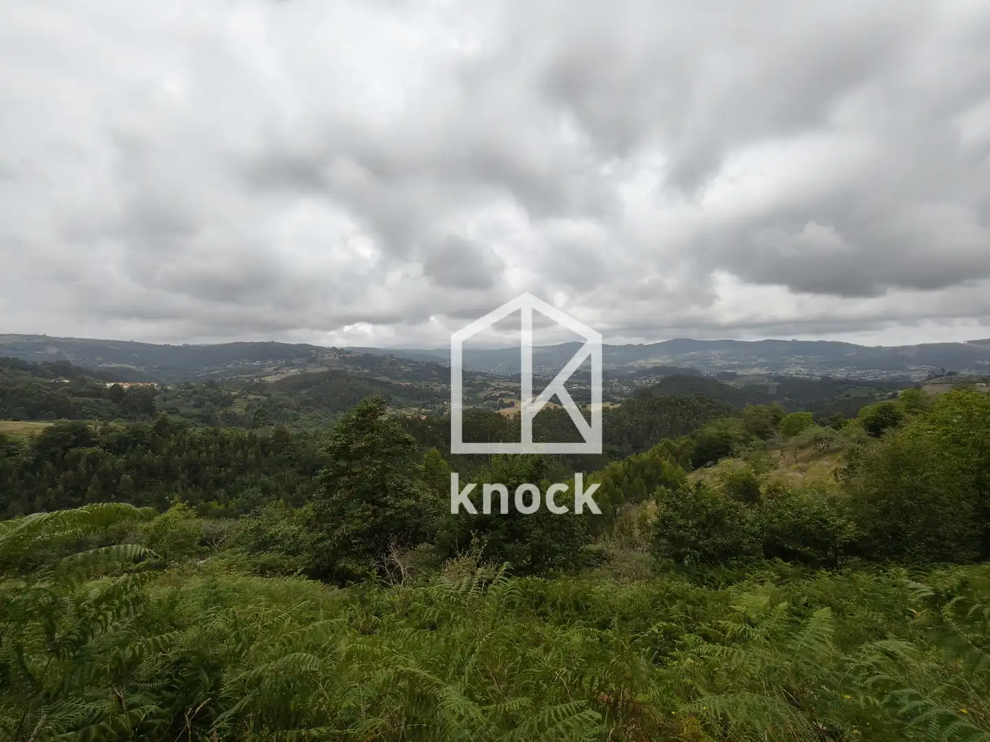 Terreno rustico in vendita a Villaviciosa - Celada, imagen 21