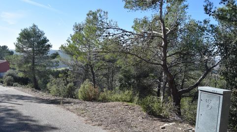 PARCELA CON VISTAS AL VALLE DEL TAJO, immagine 2