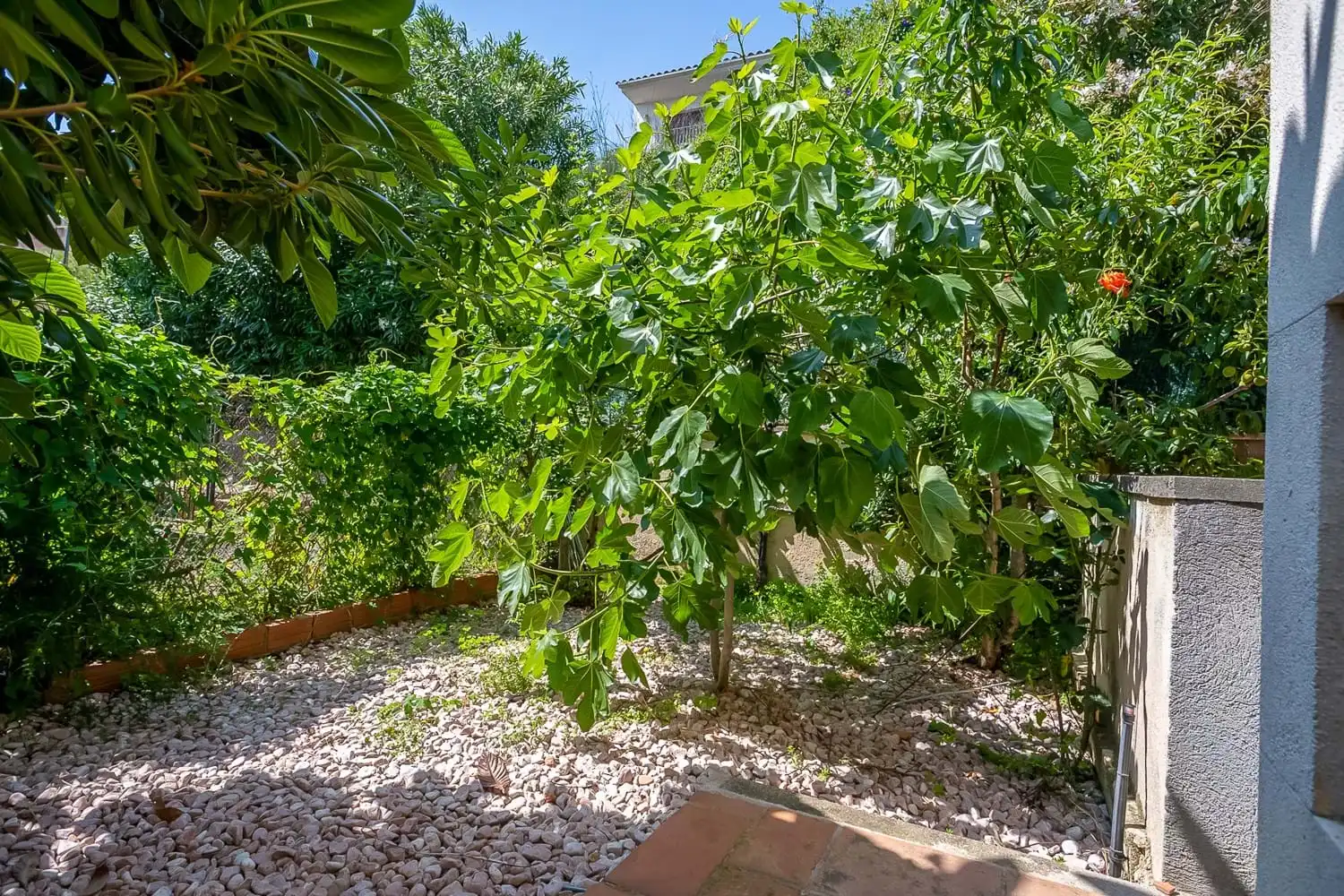 Haus mit Garten zum Verkauf in Avinguda Mas Romeu, imagen 6