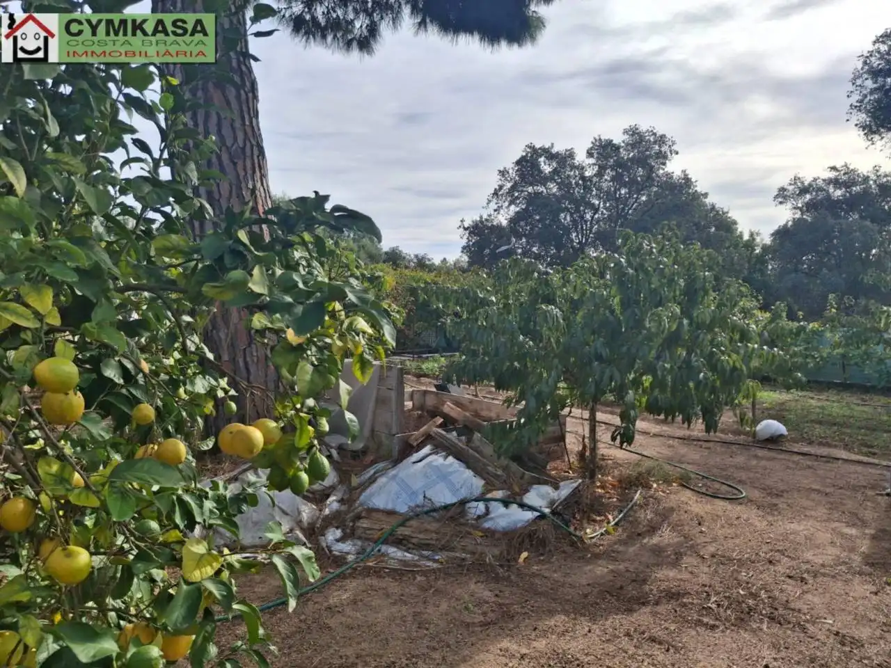Residential land for sale in Palafolls, imagen 2