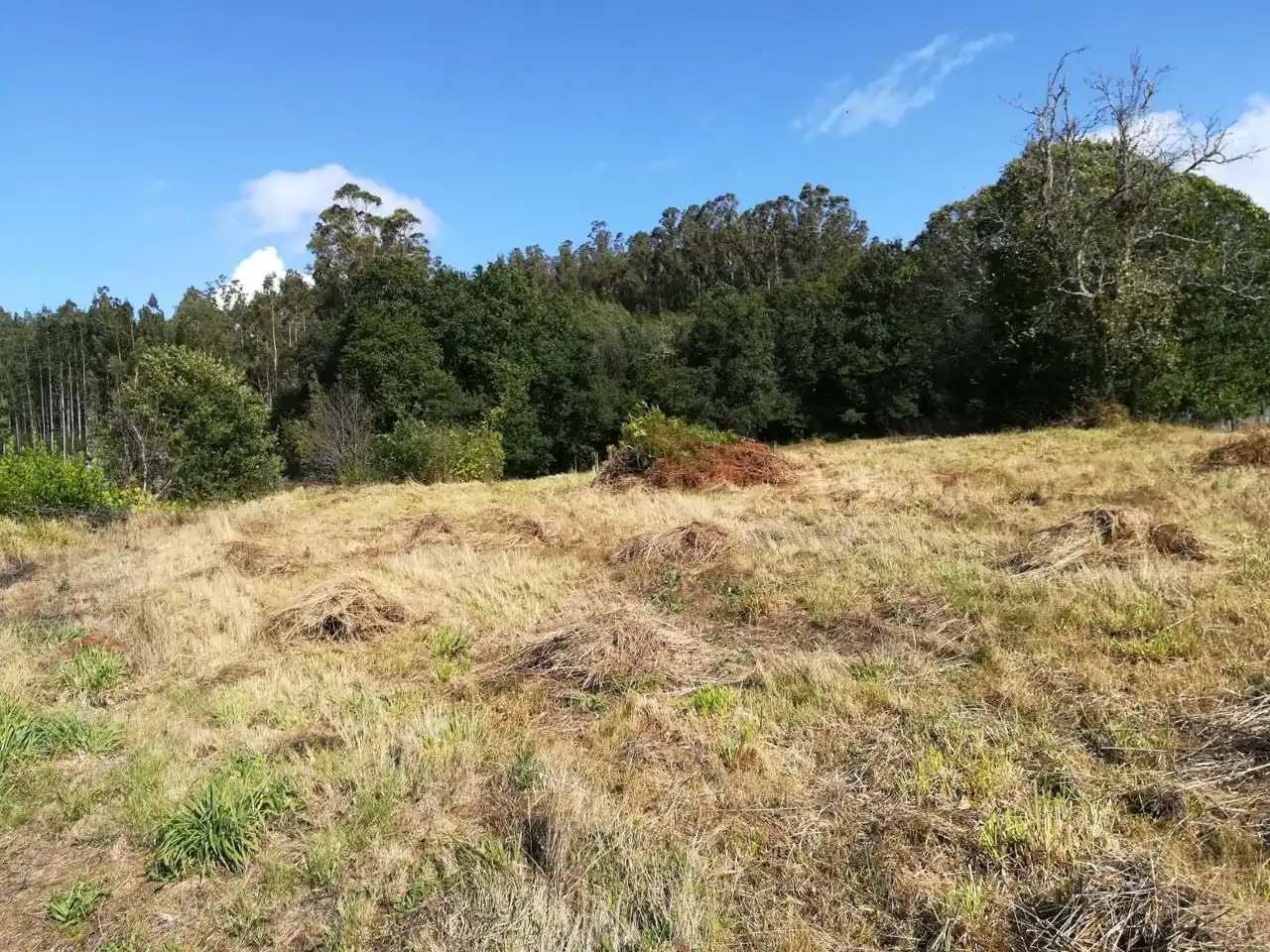 Finca rústica en venta en O Pino 