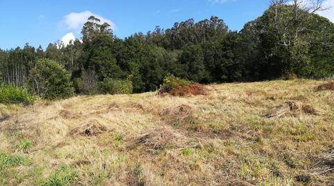 Foto 3 de Finca rústica en venda a N/a, O Pino , A Coruña