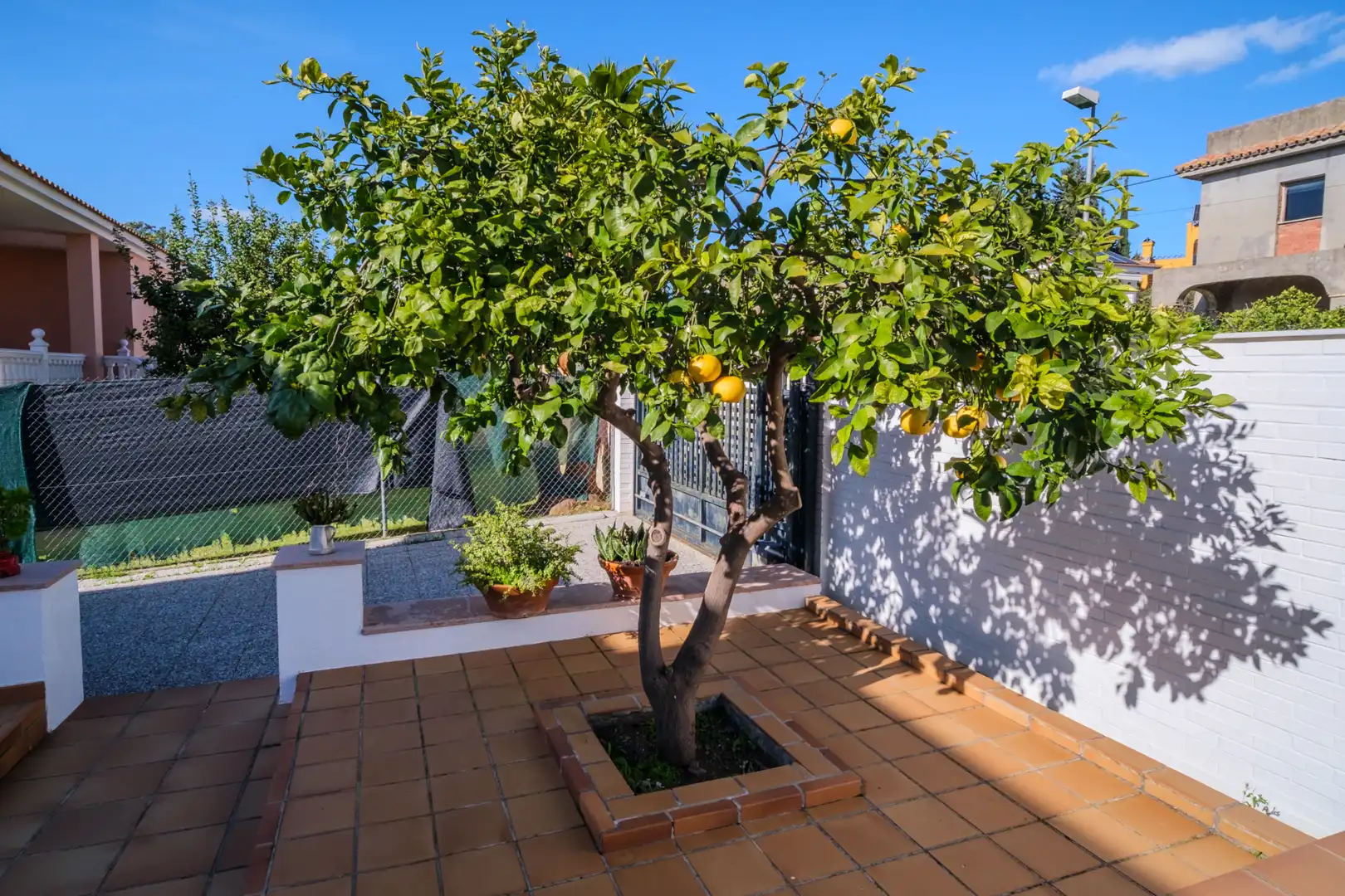 Jardí de Casa o xalet en venda en Montequinto amb Jardí privat, Terrassa i Moblat