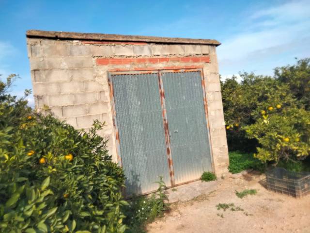 Terreno en Venta en Los Pinares - La Masia