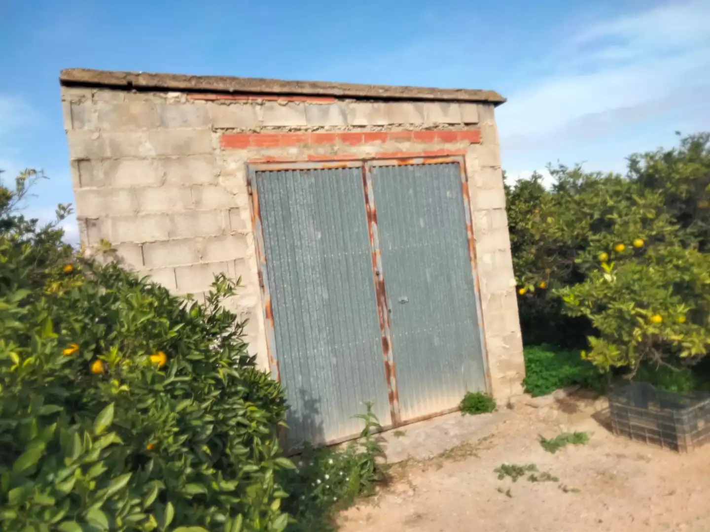 Terreno rustico in vendita a Los Pinares - La Masia