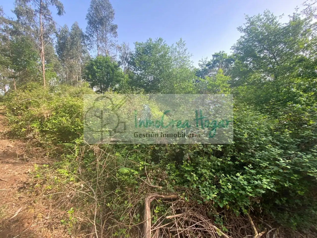 Terreny rústic en venda a Salvaterra de Miño, imagen 9