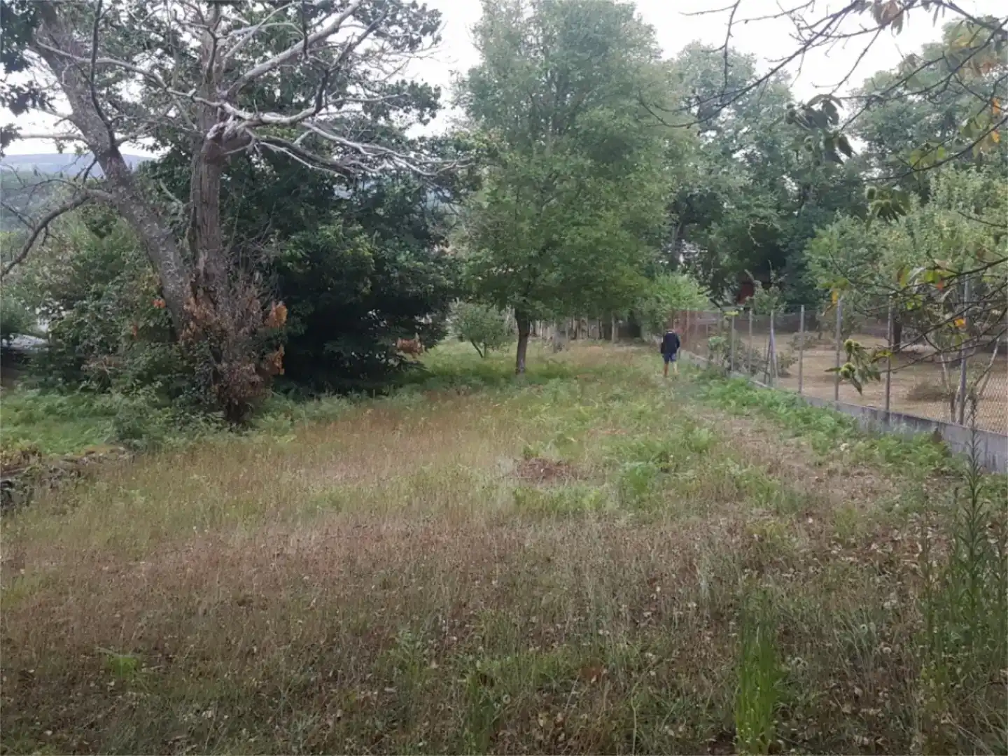 Pis en venda en Vilar de Barrio