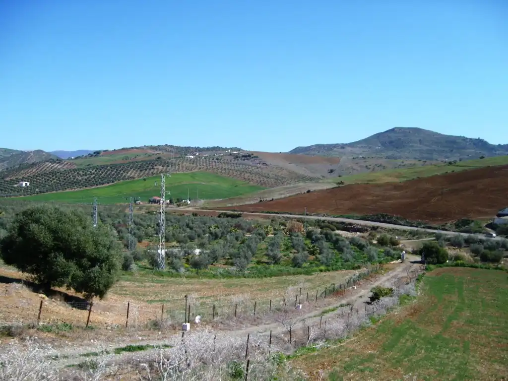 Rustikales Grundstück zum Verkauf in Álora, imagen 15