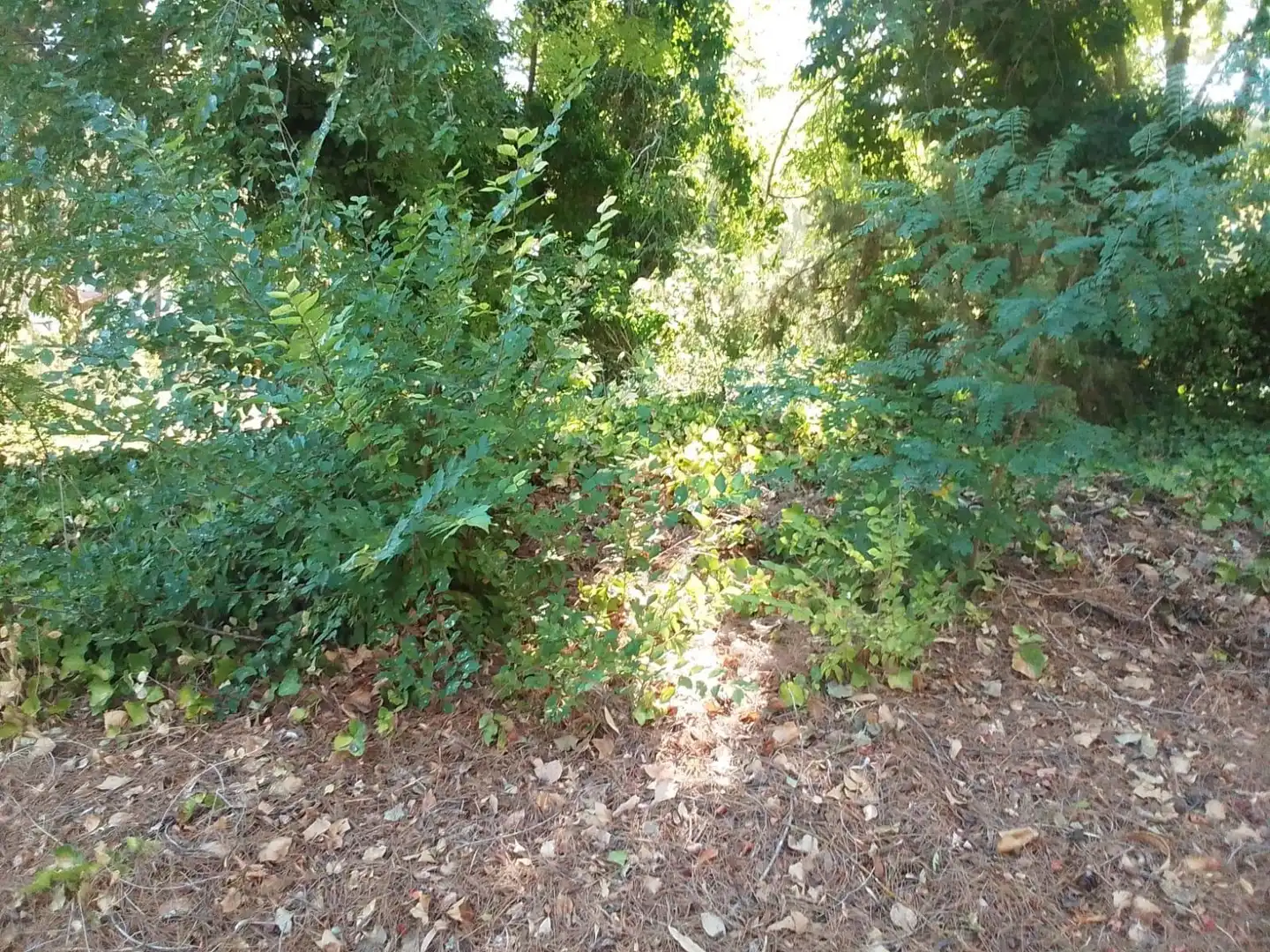 Residential land for sale in Urbanizacion NUEVA SIERRA BT, imagen 2