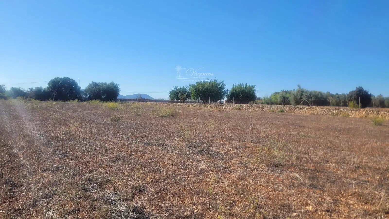 Terreno rustico in vendita a N/A, imagen 5
