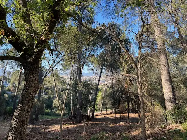 Residential land for sale in Carrer del Gamarús 7, imagen 2