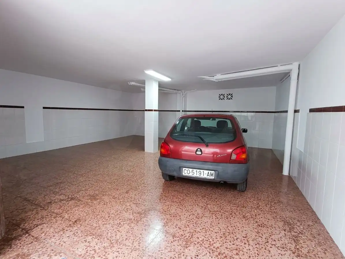 Parking of Detached homes for sale in Jardin Lucena
