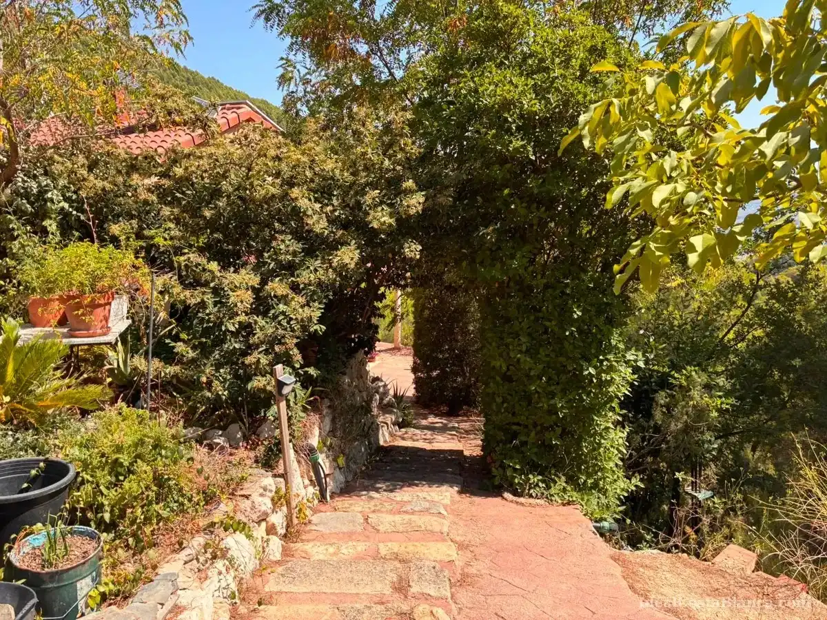 Maison rustique avec terrasse à vendre à DISEMINADOS 6 Polígono 2 Parcela 90 SOLANA., imagen 8