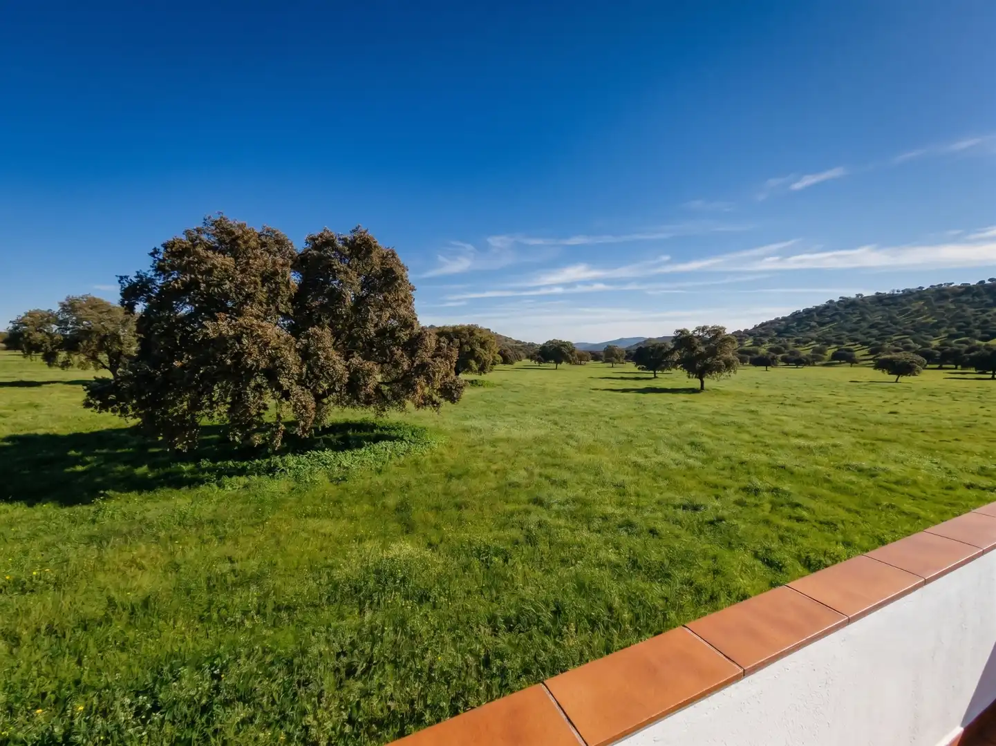 Casa o chalet en venta en Linares con Calefacción, Jardín privado y Amueblado