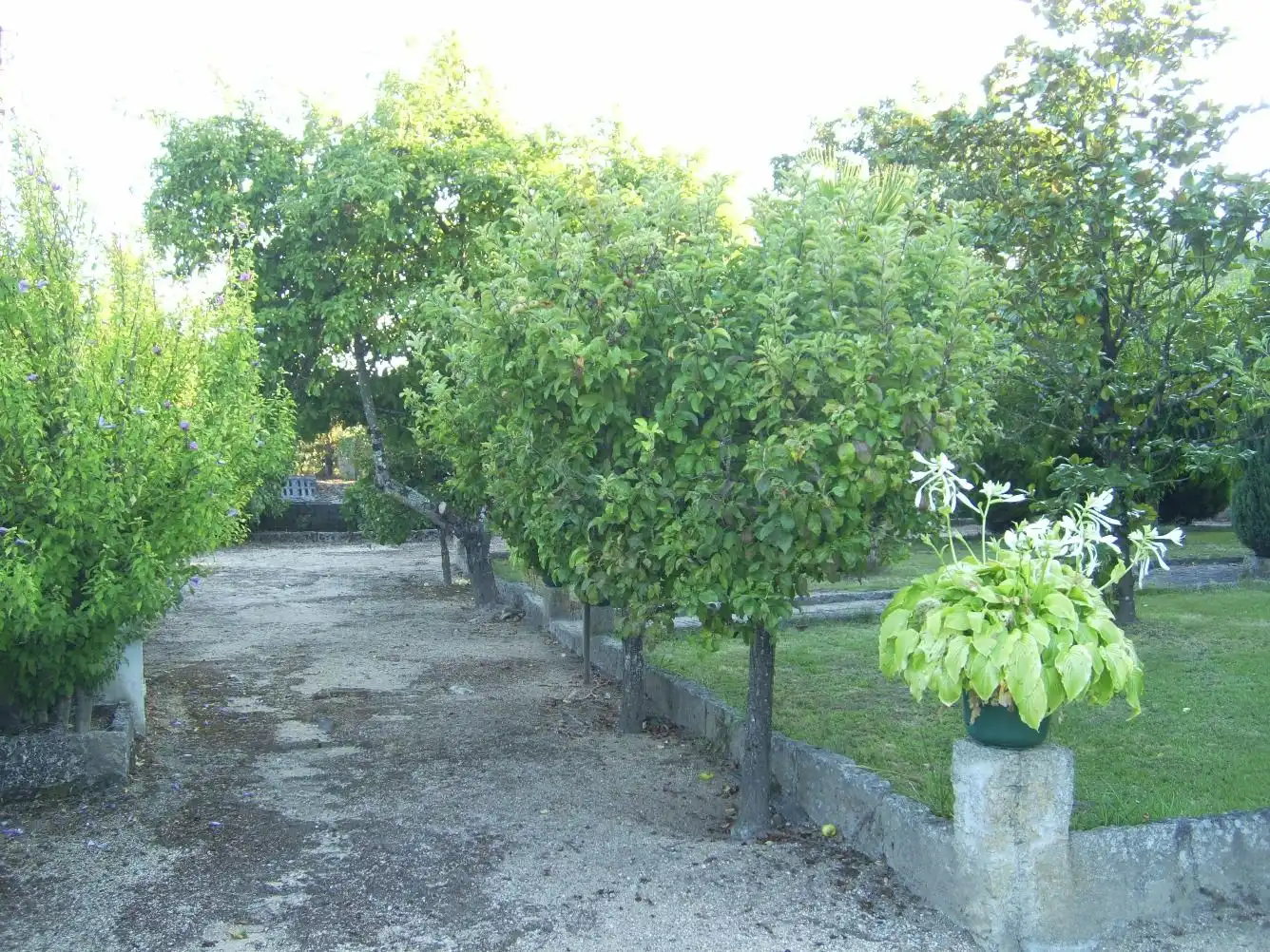 Haus zum Verkauf in Rúa Gabino Bugallal, imagen 63