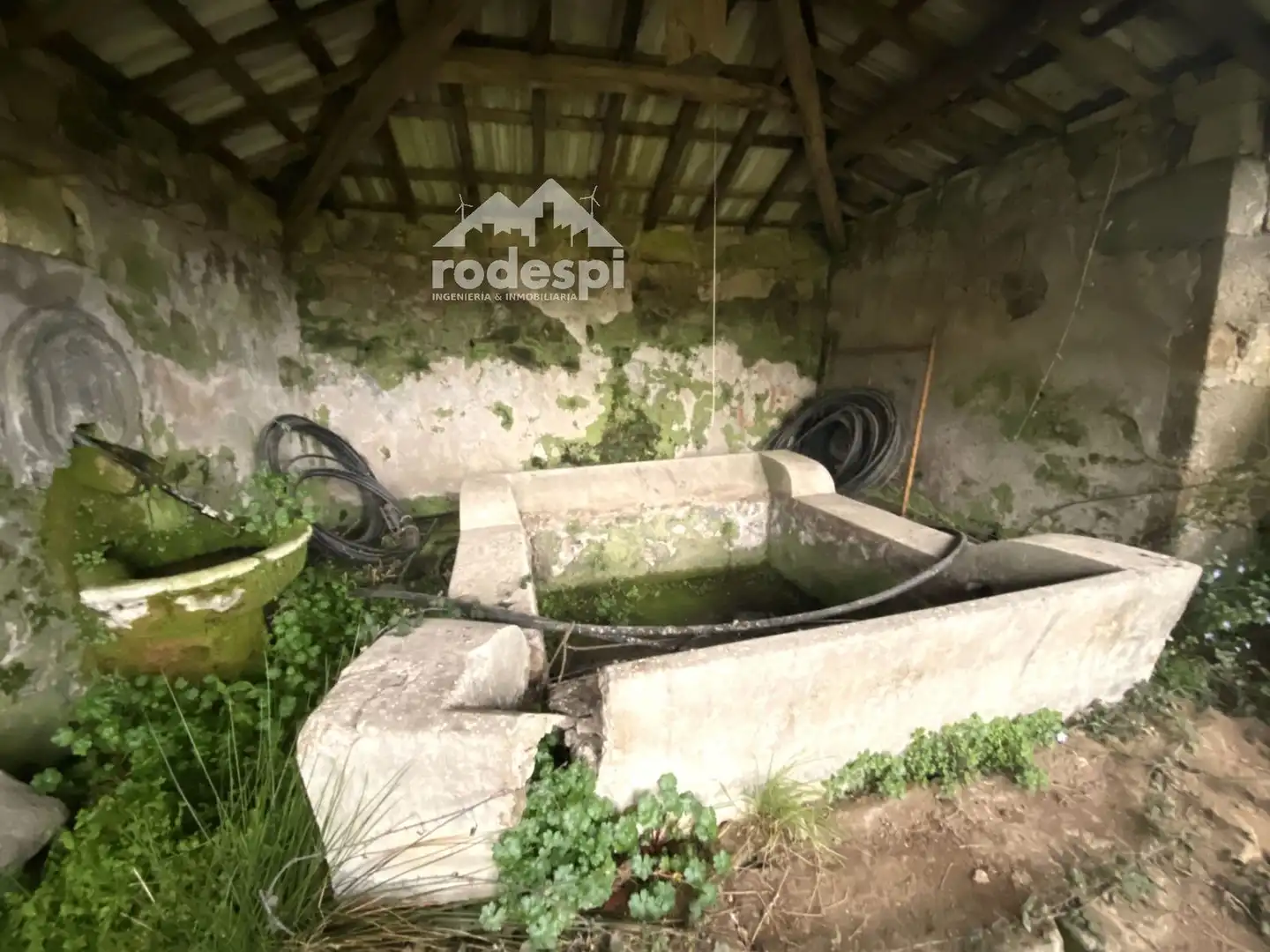 Garden of Buildings for sale in Pantón
