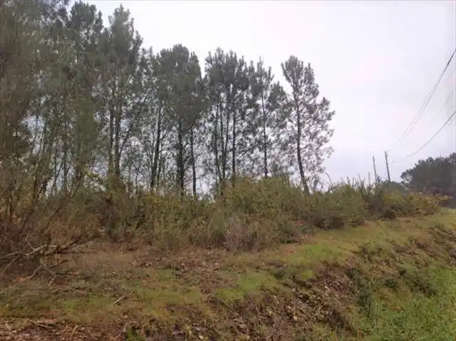 Terrain rustique à vendre à Salvaterra de Miño, imagen 2