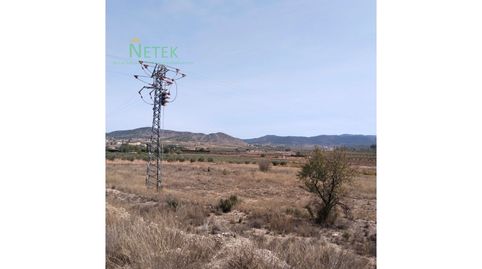 Foto 4 de Residencial en venta en Poligono 12 Paraje 137 Sonca, El Pinós / Pinoso, Alicante