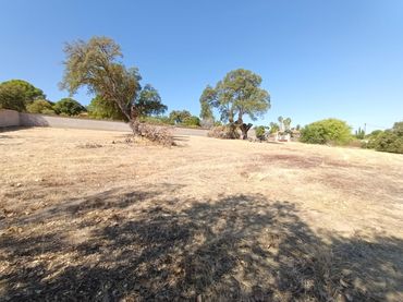 Terreno industrial en venta en Sierra de Fuentes