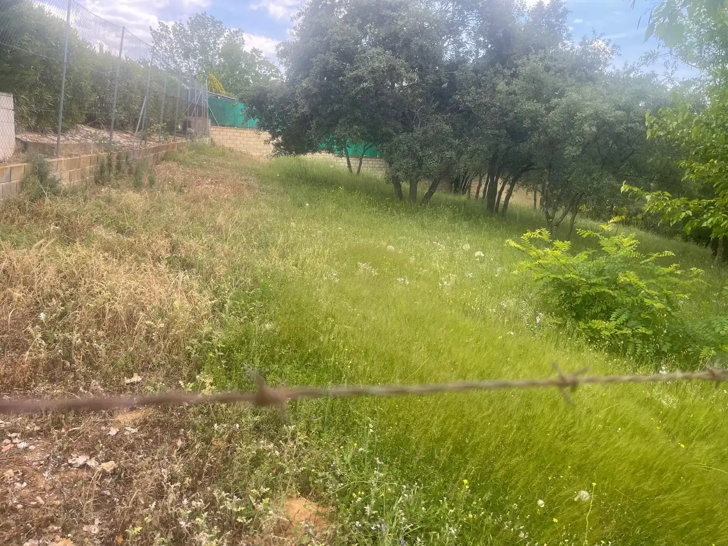 Terrain résidentiel à vendre à Calle ALAMO, imagen 5